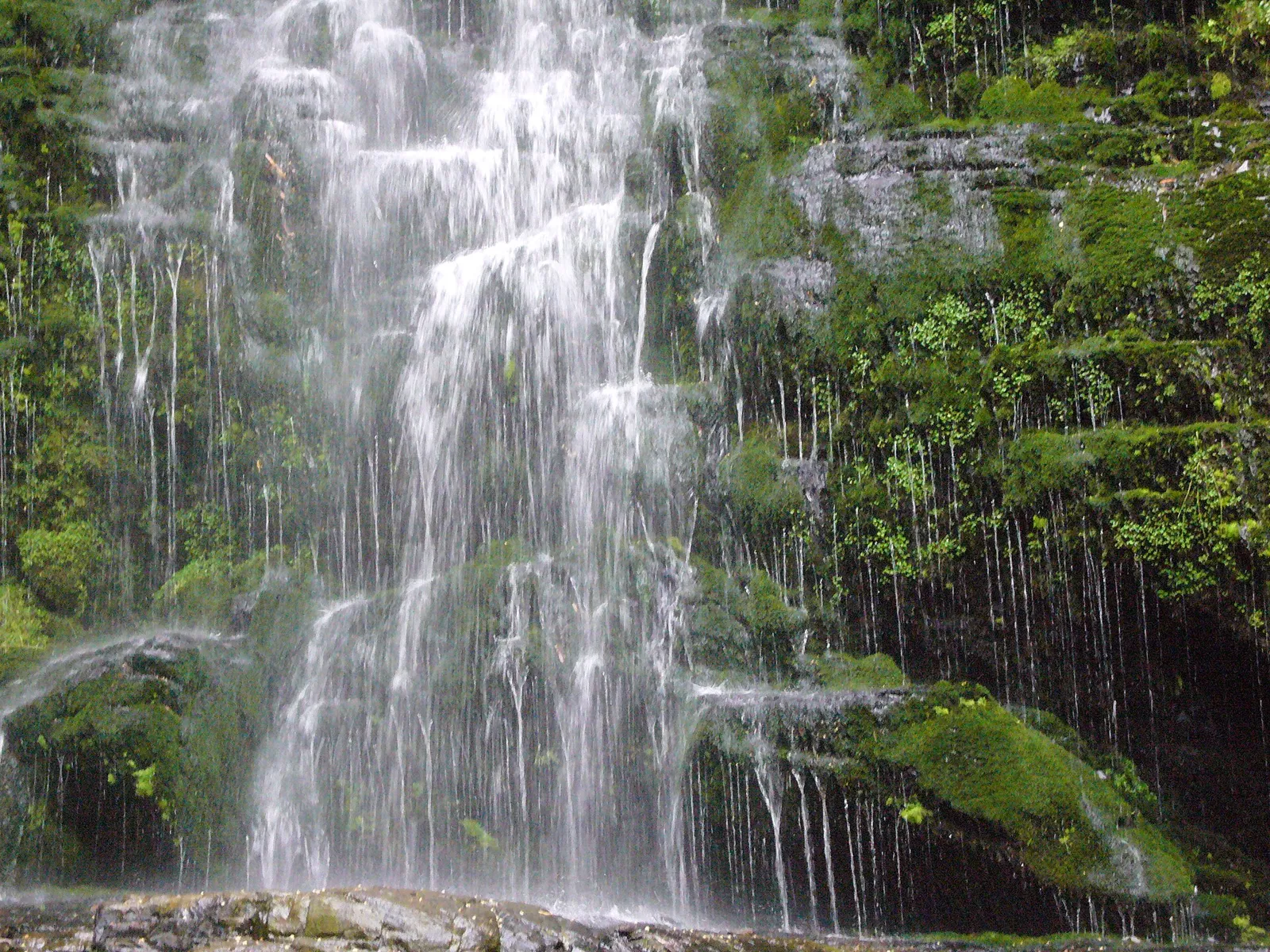 A waterfall spilling over mossy rocks into a fern-lined gully