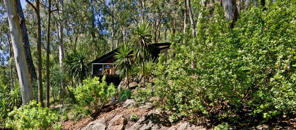 A small dark timber building among tall gum trees and dense green bush